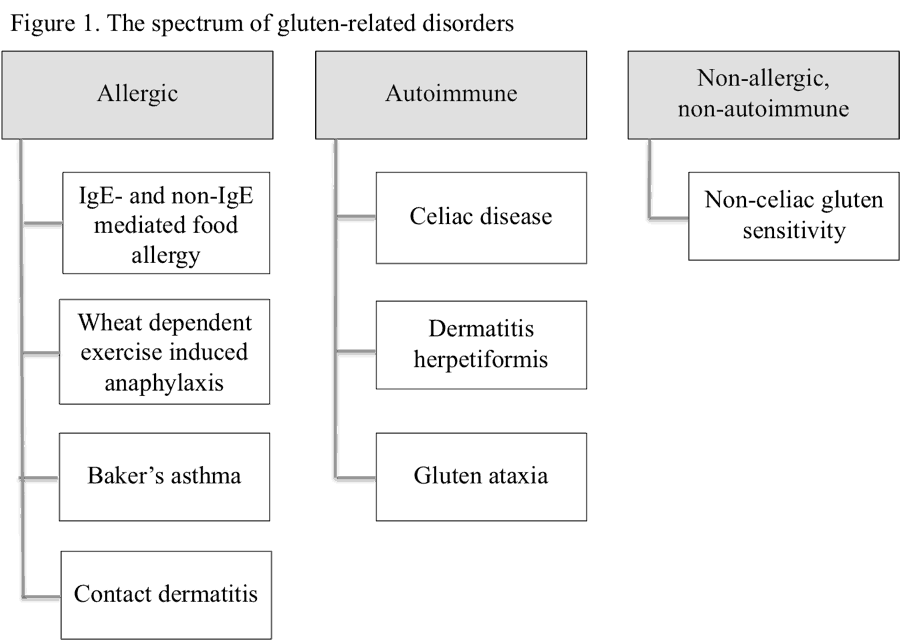 The Spectrum of Gluten-Related Disorders