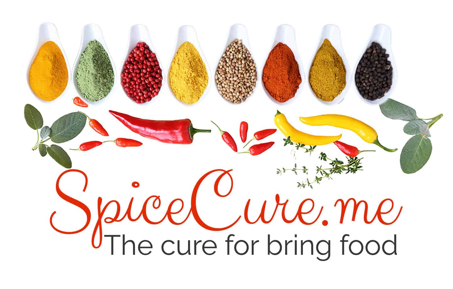 Logo - SpiceCure.me The cure for boring food