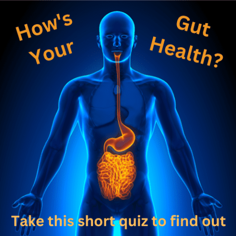 Rate Your Gut Health Quiz - Terri Ward | Faith-Based Functional Nutrition