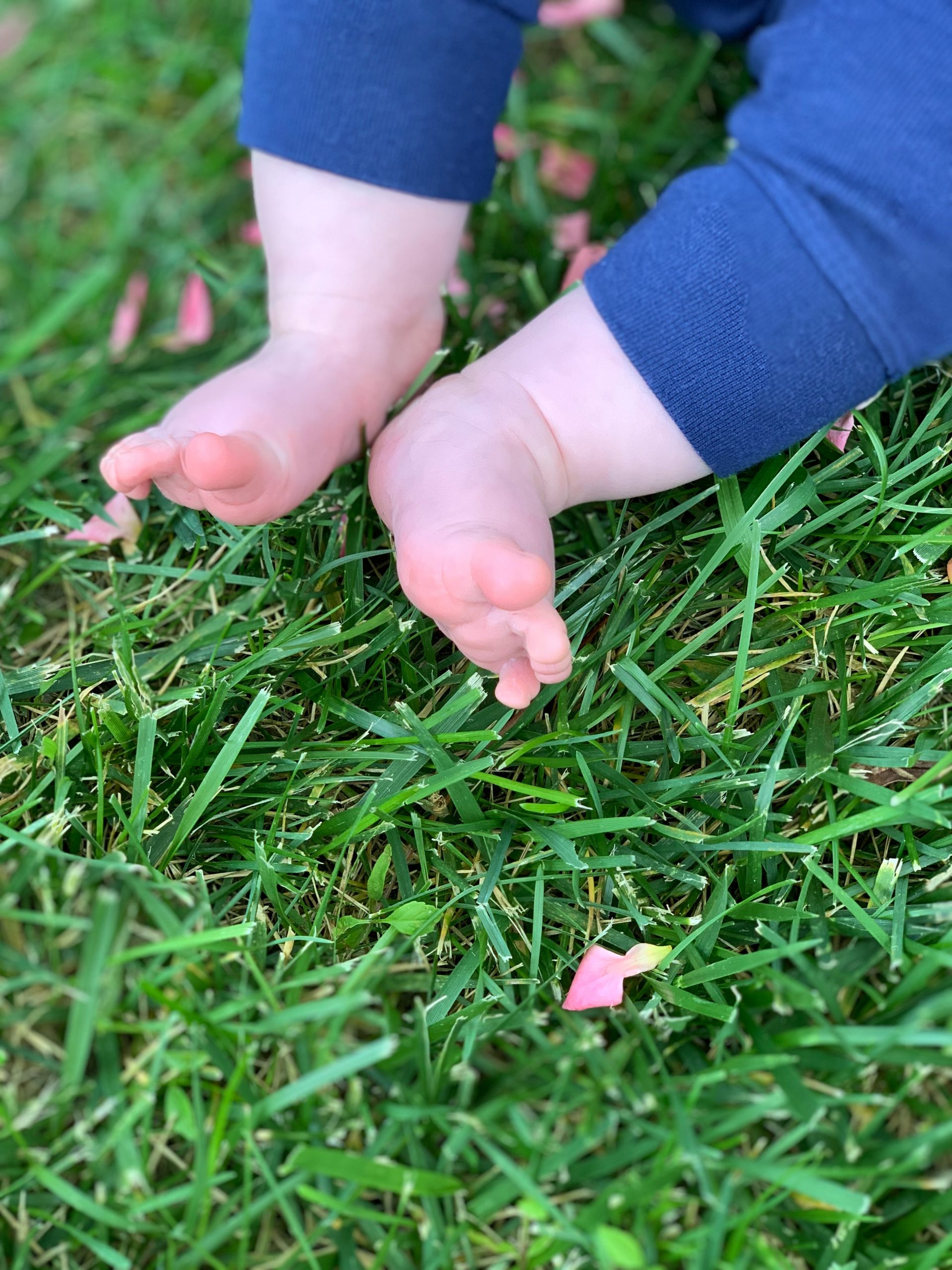 Baby's feet in the grass