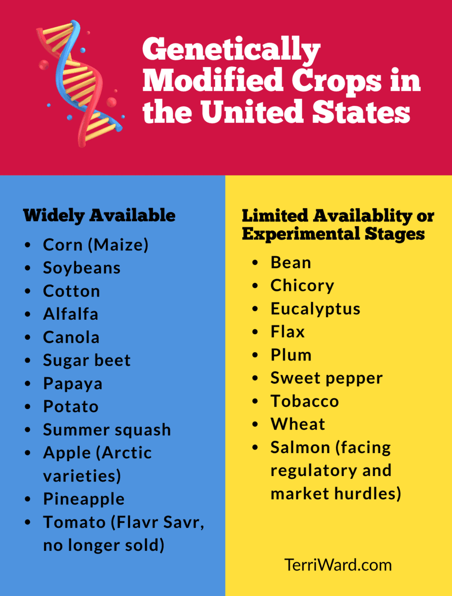 Infographic listing genetically modified crops in the United States. Divided into ‘Widely Available’ crops (corn, soybeans, cotton, etc.) and those in limited or experimental stages (bean, wheat, salmon, etc.). Created by TerriWard.com
