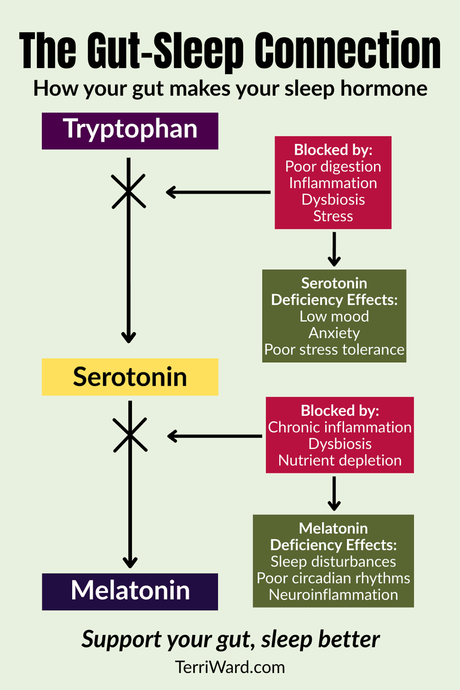 Infographic showing how tryptophan from the gut converts to serotonin and melatonin, and how poor digestion, inflammation, dysbiosis, and nutrient depletion can block this process, leading to mood, stress, and sleep problems