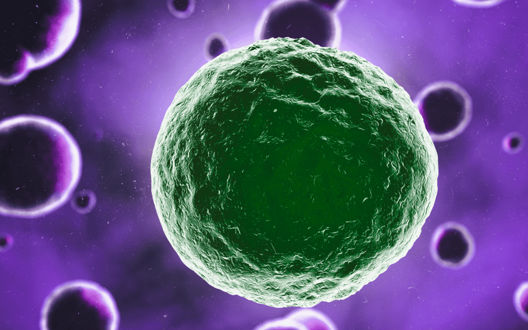 Mast Cell Activation Syndrome: A Mysterious Disease Often Missed, Here Are Solutions