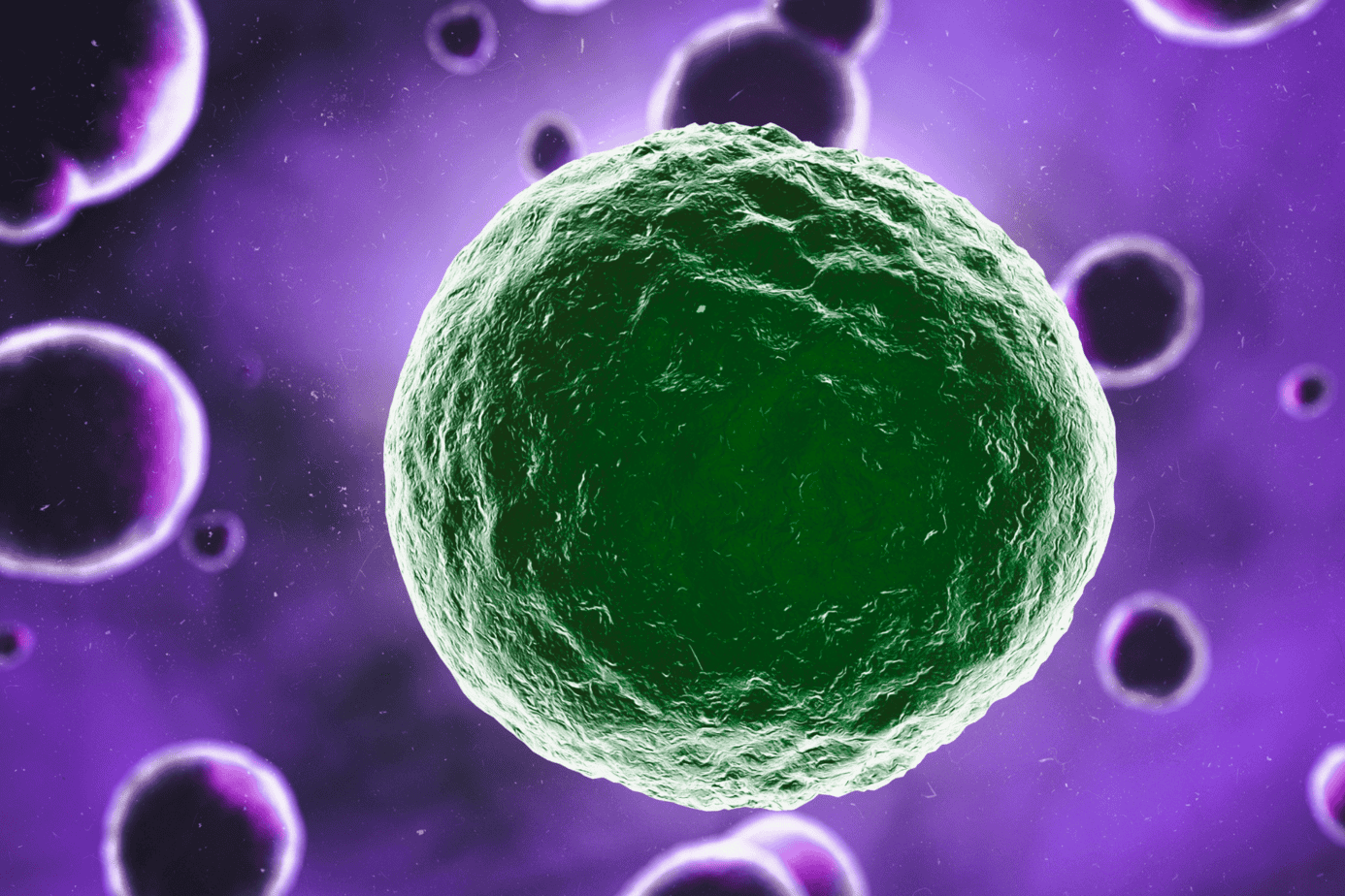 Image of a mast cell floating amongst other cells