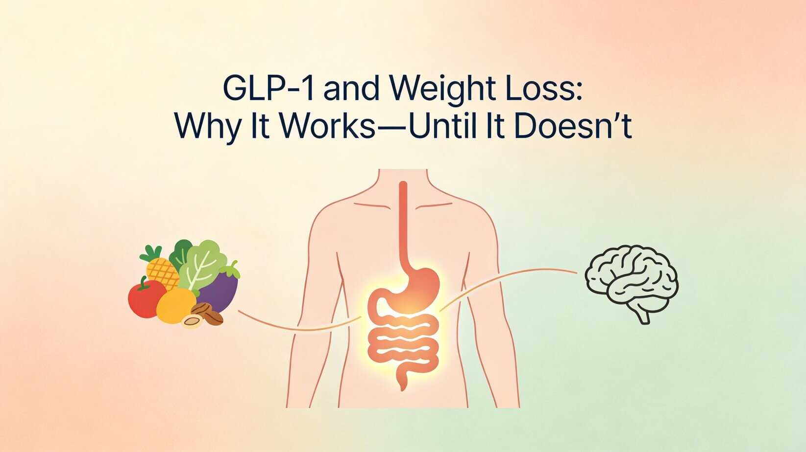 GLP-1 Hero Image Illustration showing the gut–brain connection in GLP-1 signaling, with food intake influencing digestion and appetite regulation involved in weight loss