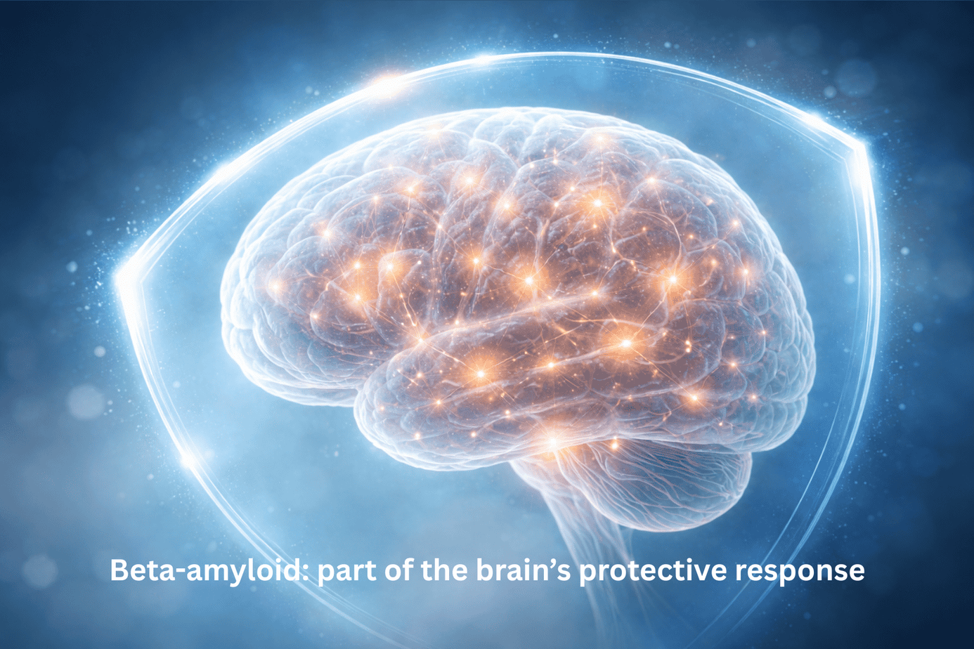 beta-amyloid plaque in the brain Illustration of an active, glowing human brain surrounded by a protective shield, with text overlay: Beta-amyloid: part of the brain's protective response