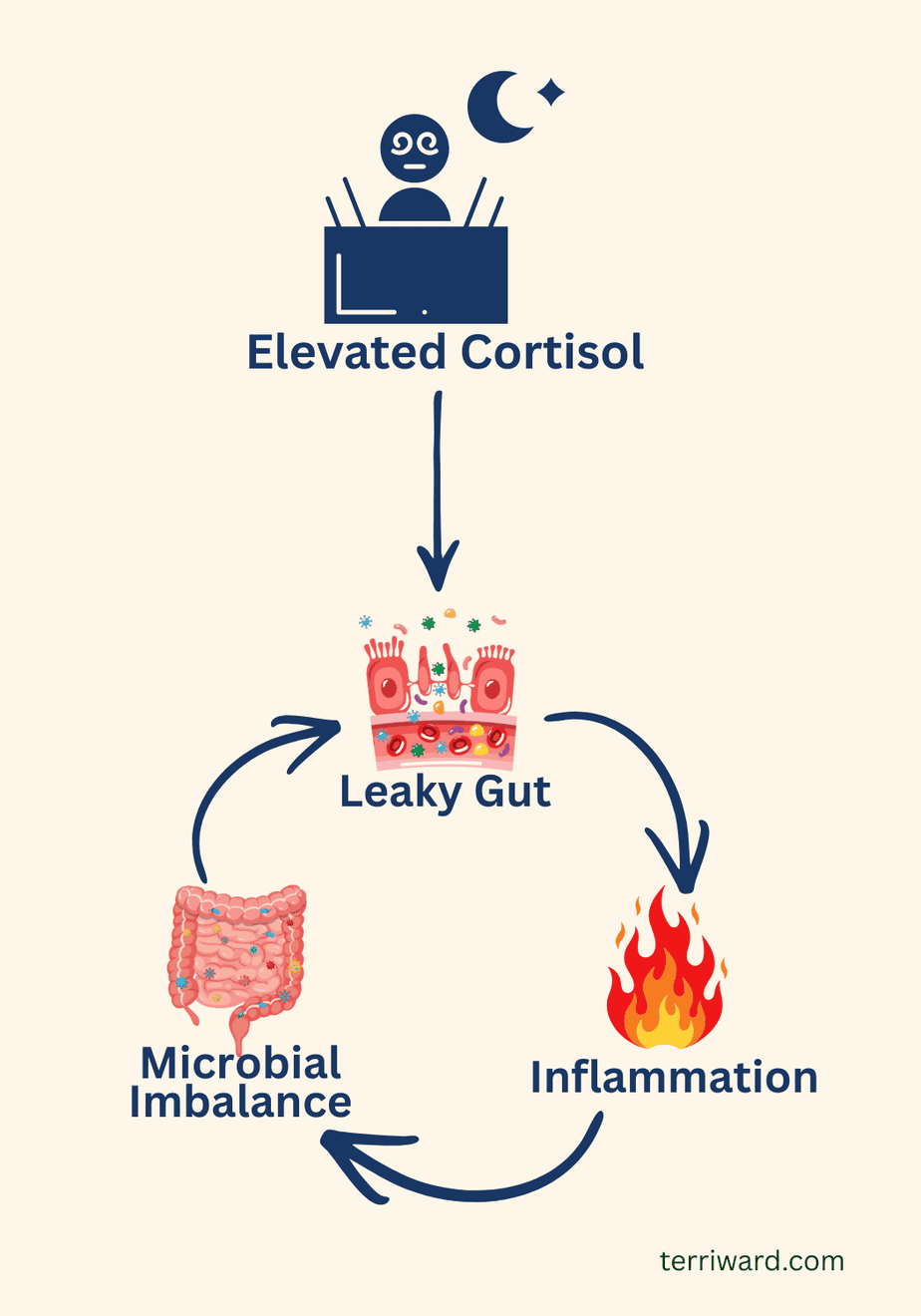 Infographic showing how binge-watching on screens can increase cortisol and contribute to leaky gut, inflammation, and gut imbalance in a repeating cycle