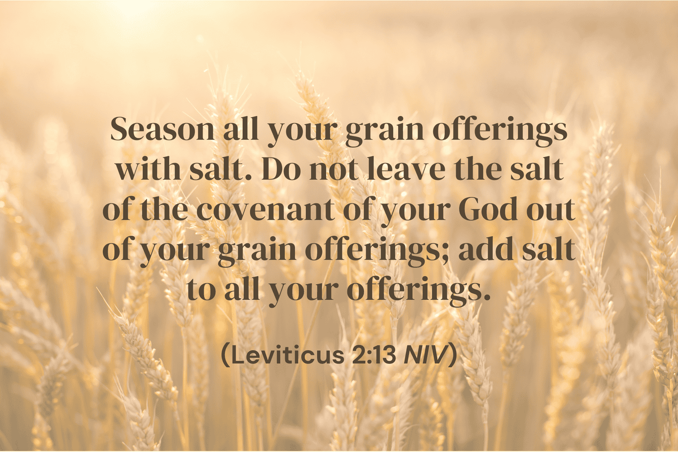 Leviticus 2-13 Leviticus 2:13 Bible verse over a soft, golden wheat field background, with the text about seasoning grain offerings with the salt of the covenant