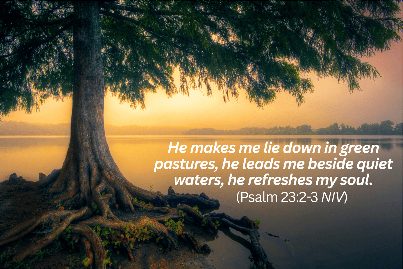 Psalm 23 Scripture tree and still water Psalm 23 quiet waters Scripture image illustrating biblical rest and restoration for gut health