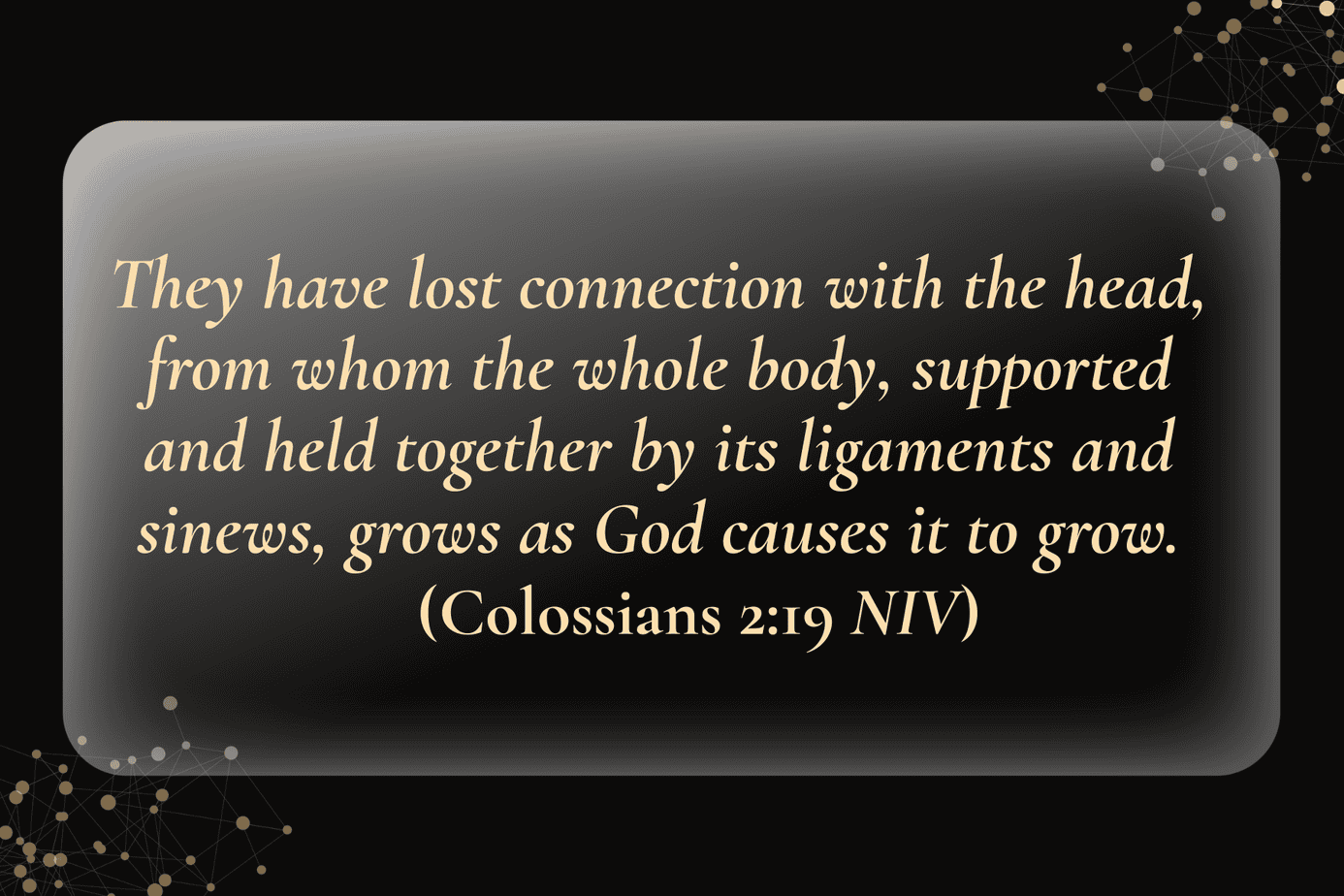 Black background image with gold script text of Colossians 2:19 about the whole body being supported and held together by its ligaments and sinews, pointing to Christ as the Head