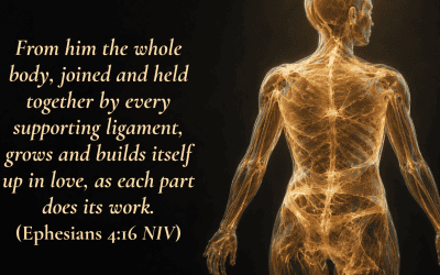 Fascia, Gut Health, and Inflammation in God’s Design