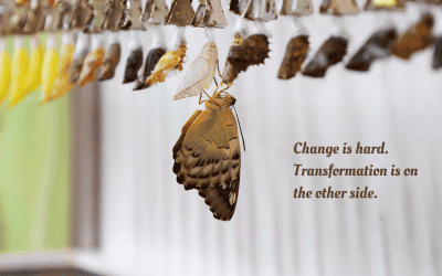 When Change is Hard and Feels Like a Threat