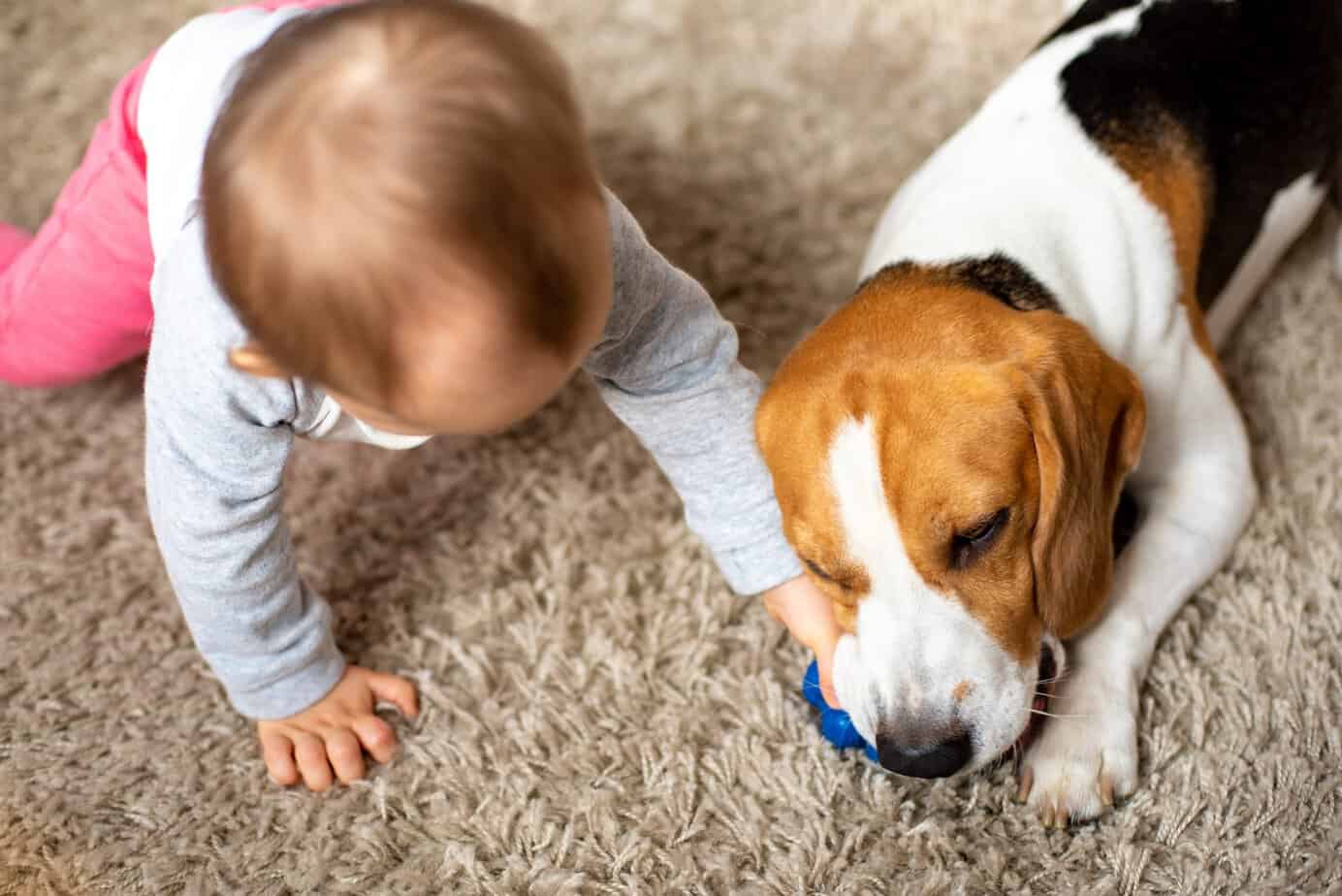 Crawling baby and puppy on the floor in a cozy home, highlighting why it helps to take your shoes off at the door to reduce germs and dust