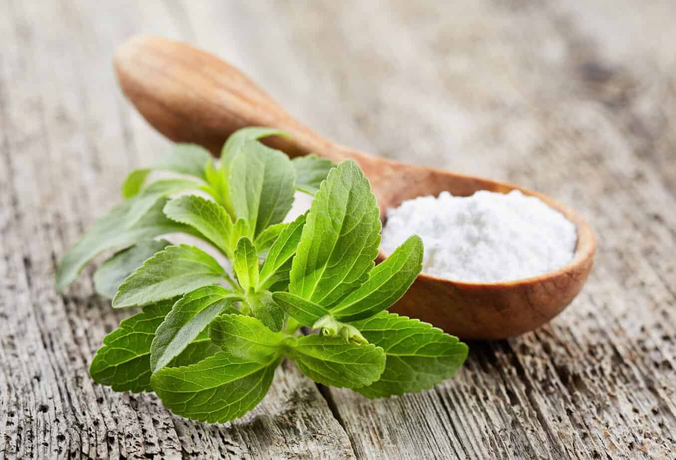 Stevia plant with powder Fresh green stevia leaves beside a spoonful of white powdered stevia sweetener