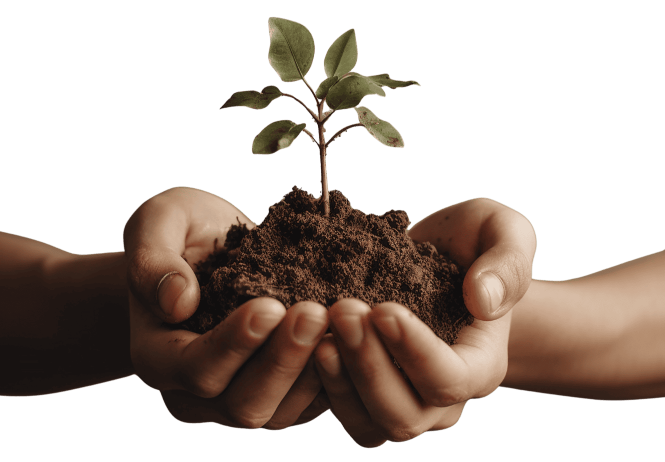 Two hands gently holding soil and a young seedling